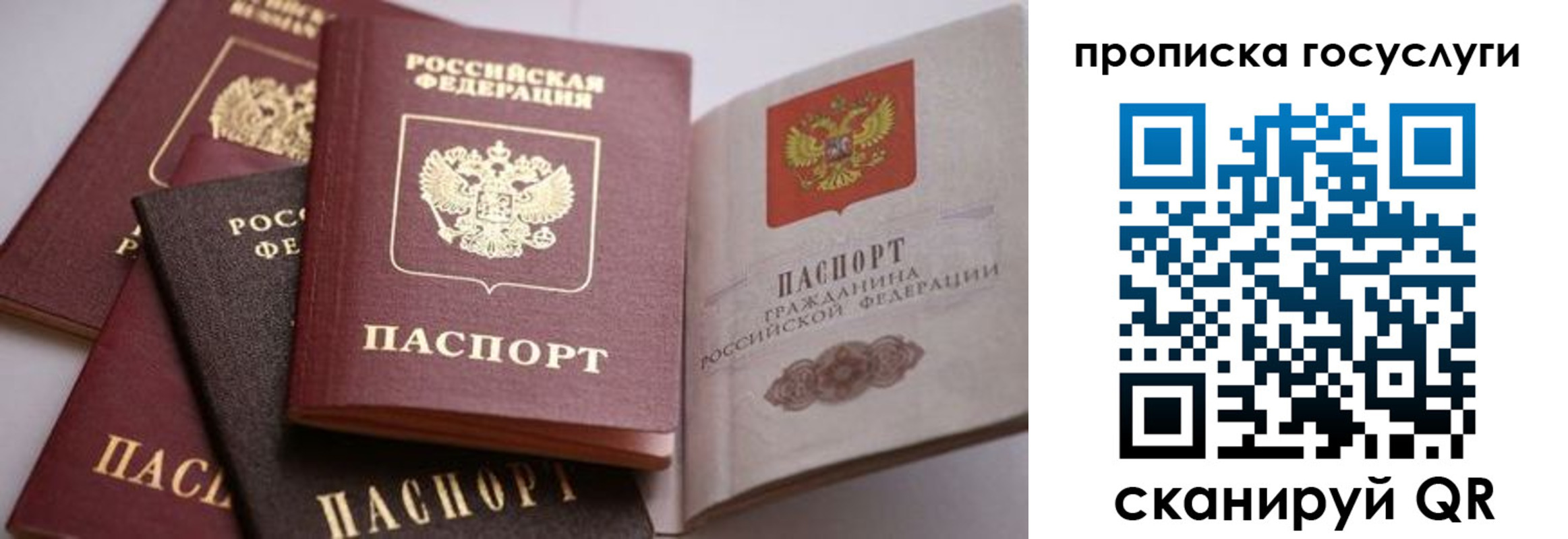 прописка иностранных граждан в Сосновоборске