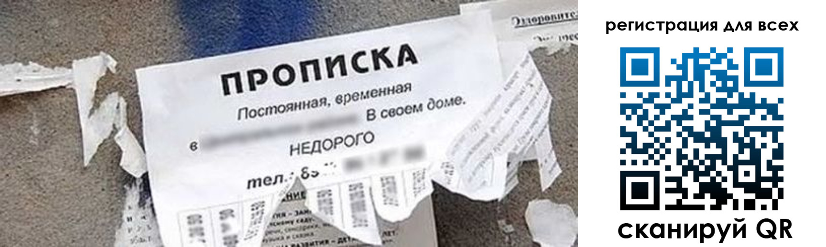 прописка поиск в Сосновоборске